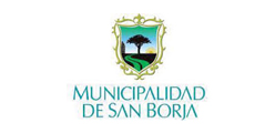 MINICIPALIDAD DE SAN BORJA